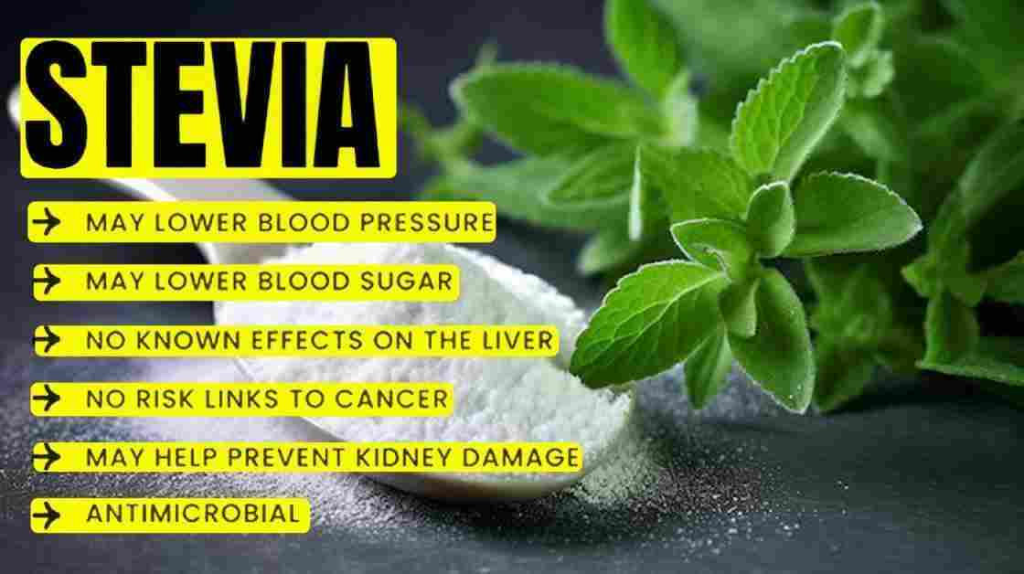 Stevia: Stevia rebaudiana Benefits, Uses, Precaution & More!